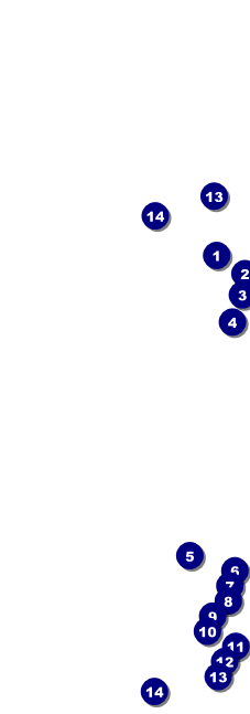 Ski Race Raffle Ticket Front Field Markers