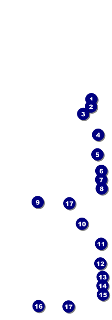 Travel Event Ticket Front Field Markers