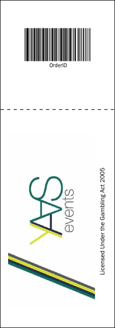 Champagne Lights Raffle Ticket Product Back