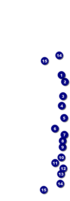 Champagne Lights Raffle Ticket Front Field Markers