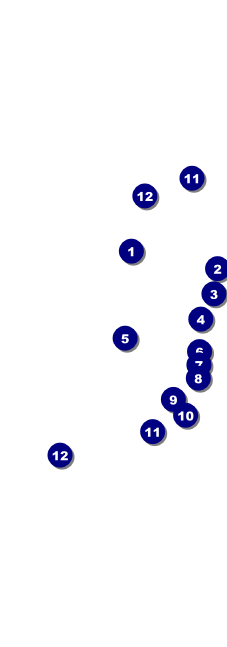 Casino Dealer Raffle Ticket Front Field Markers