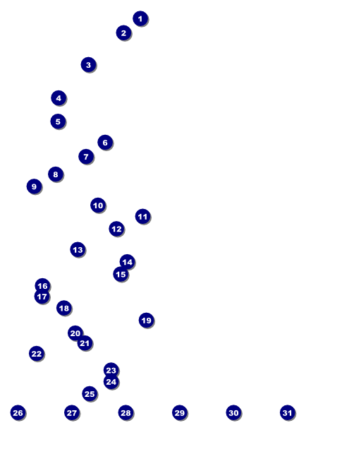 Camouflage Flyer Front Field Markers