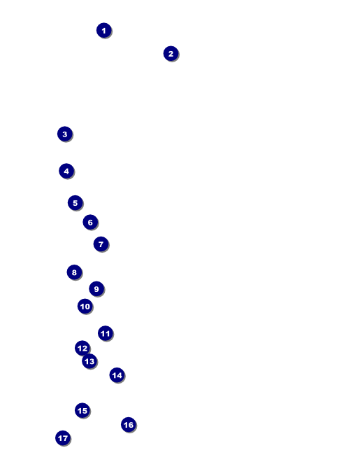 Christmas Bells Flyer Front Field Markers