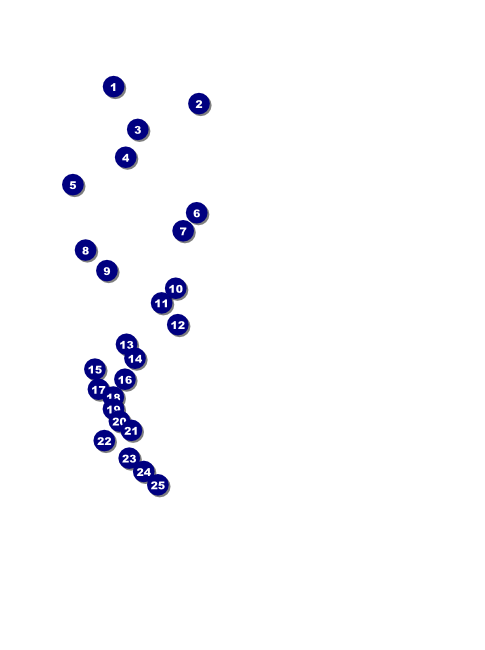 Gala Flyer Front Field Markers