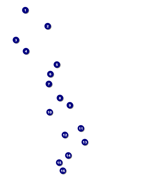 Cool Christmas Flyer 002 Front Field Markers