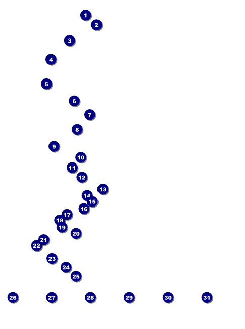 Spider Web Flyer 001 Front Field Markers
