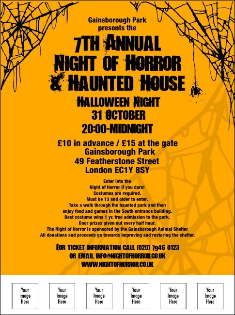 Spider Web Flyer 003 Product Front