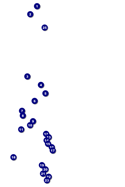 Sports Poster 001 in Black and Yellow Front Field Markers