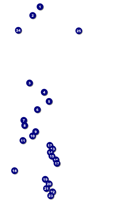 Sports Poster 002 in Black and Yellow Front Field Markers