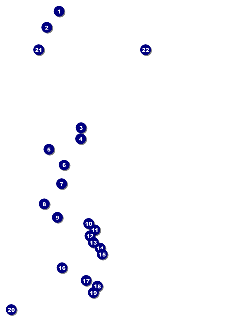 Sports Flyer 002 in Blue and Yellow Front Field Markers