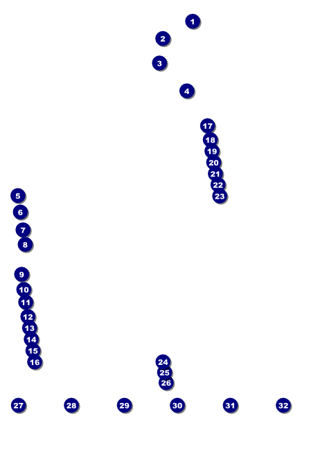Cricket Flyer Front Field Markers