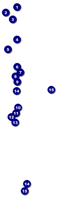 Billiards Raffle Ticket Front Field Markers