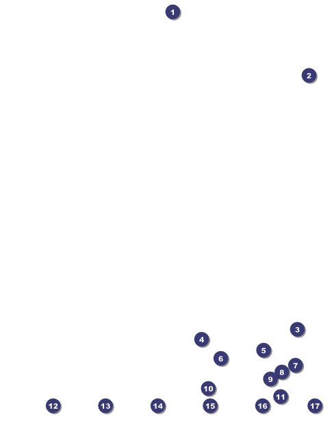 Diamond Dog Flyer With Place Holder Image Front Field Markers