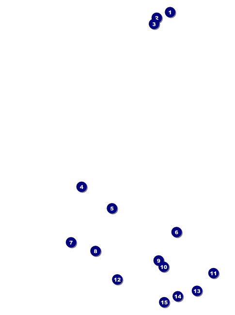 Chinese New Year Flyer Front Field Markers