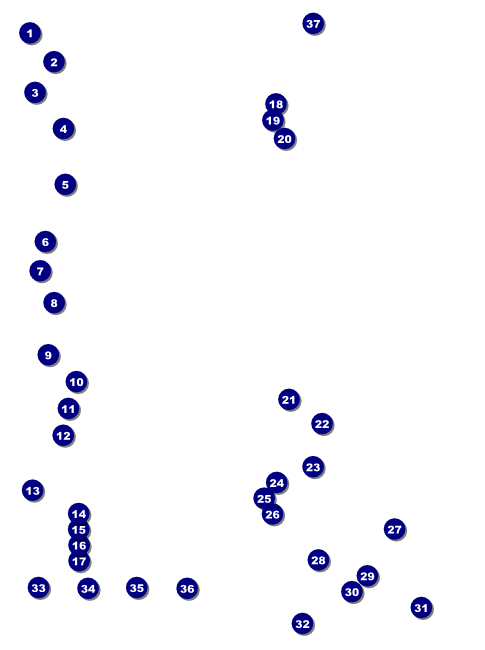 Run for a Cure Blue & Green Flyer Front Field Markers