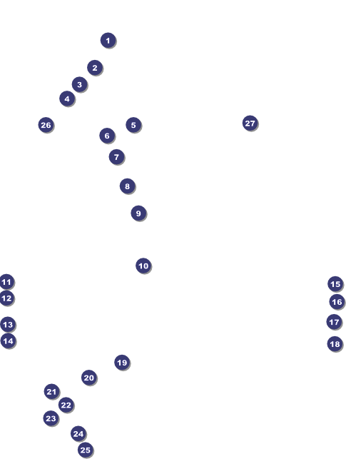Versus All Purpose Flyer (Black) Front Field Markers