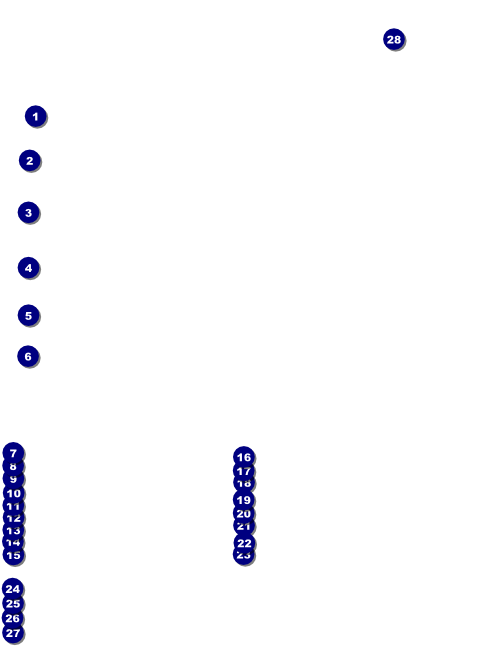 All Purpose Holiday Lights Flyer Front Field Markers