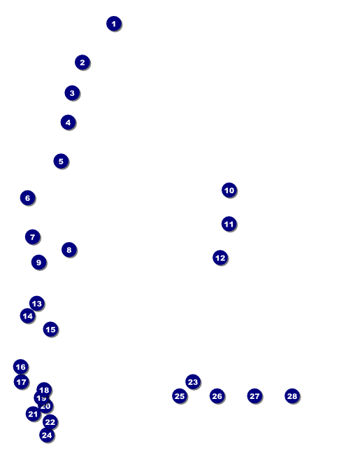 St. Patrick's Day Plaid Flyer Front Field Markers