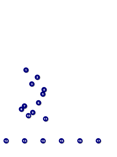 Castle Flyer Front Field Markers