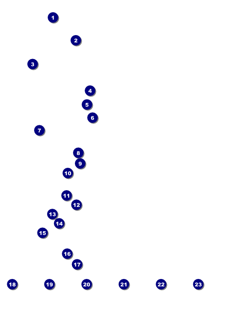 Balloon Flyer 001 Front Field Markers