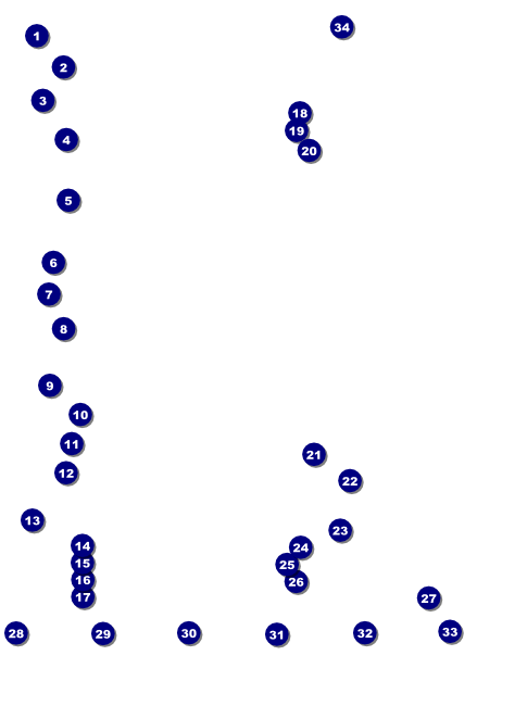 Run for a Cause Orange Logo Flyer Front Field Markers