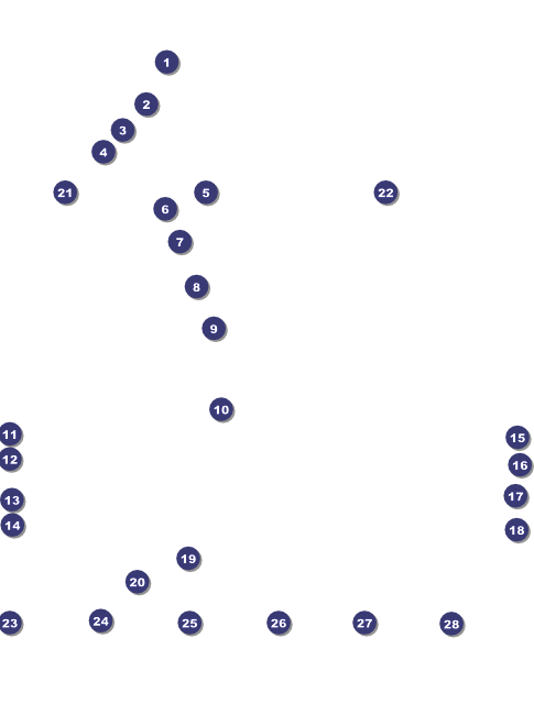 Versus All Purpose Logo Flyer (Black) Front Field Markers