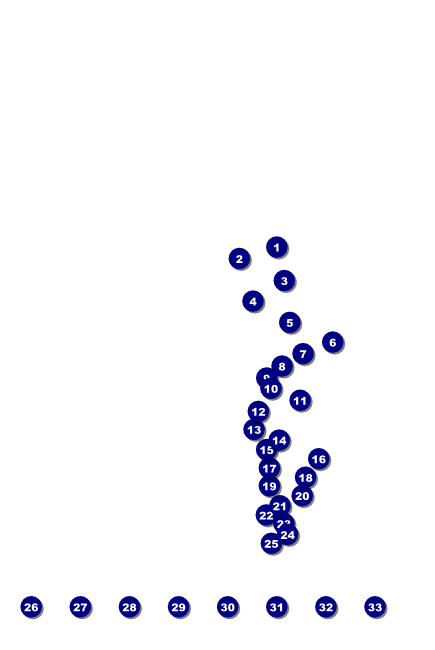 Trail Run Poster Front Field Markers