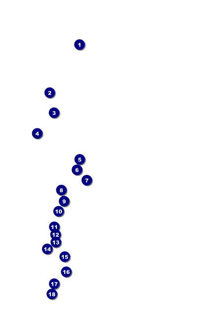 2012 Gold Semi-Formal Poster Front Field Markers