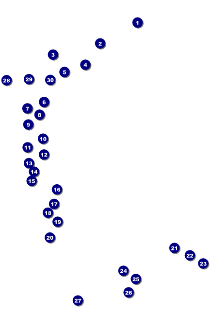 LGBT Pride Poster Front Field Markers
