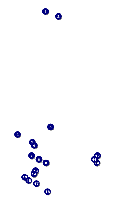 Cherry Blossom Poster Front Field Markers