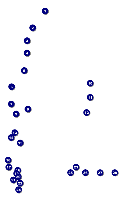 St. Patrick's Day Plaid Poster Front Field Markers