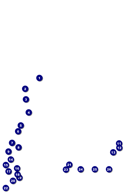 Welsh Flag Event Poster Front Field Markers