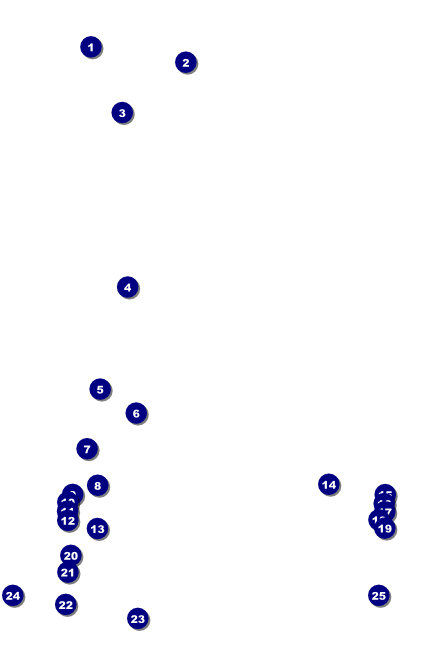 Birthday Party Green Poster Front Field Markers