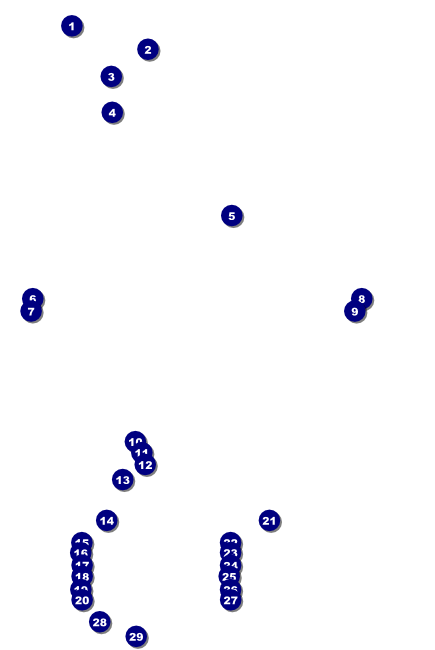 Carnival Monkey Poster Front Field Markers