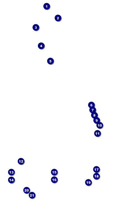 Fashion Show Poster Front Field Markers