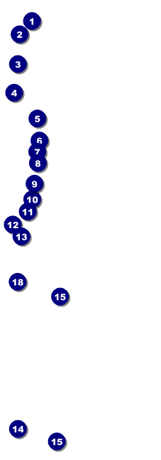 Bristol Raffle Ticket Front Field Markers