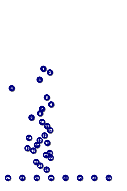 Rubgy Poster Front Field Markers