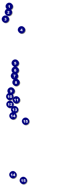 Leeds Raffle Ticket Front Field Markers
