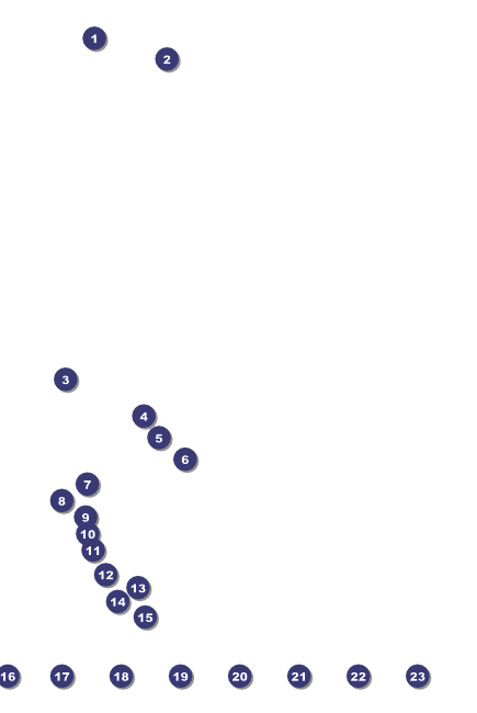 Skating Party Logo Poster Front Field Markers