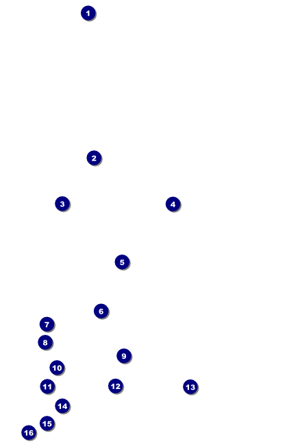 Fish Fry Poster Front Field Markers