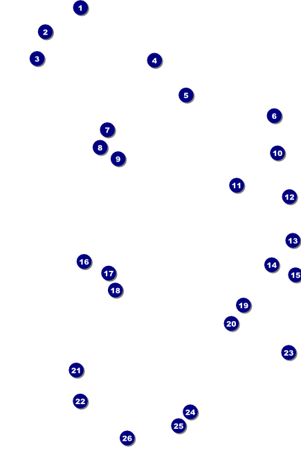 All Purpose Bright Poster Front Field Markers
