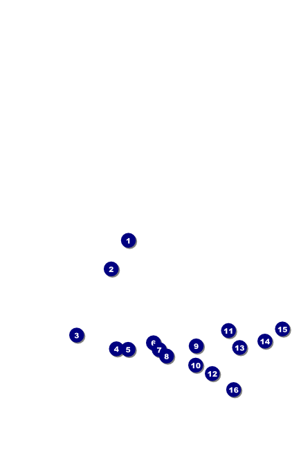 Dinosaur Poster Front Field Markers