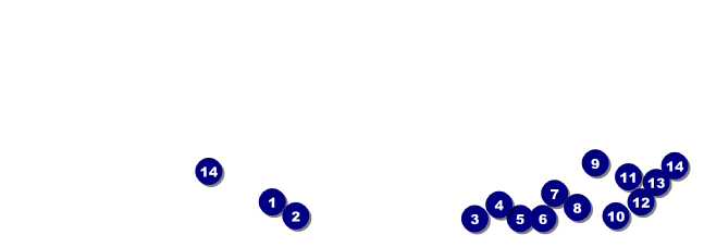 Basketball Raffle Ticket Front Field Markers