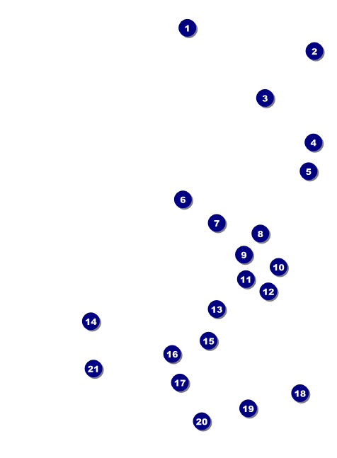 Gold Glitter Invitation Front Field Markers