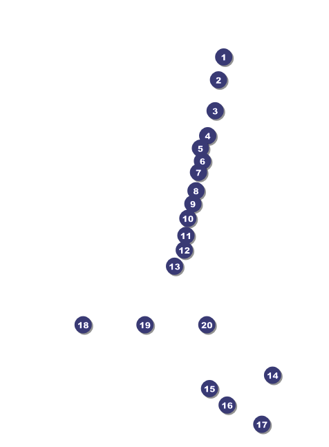 Winter Festival Invitation Front Field Markers