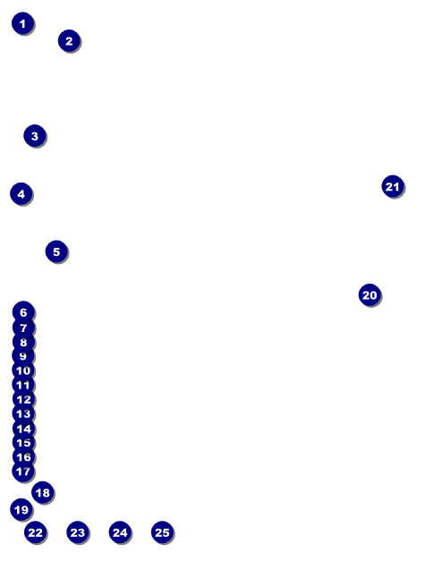 Chinese New Year Snake Invitation Front Field Markers