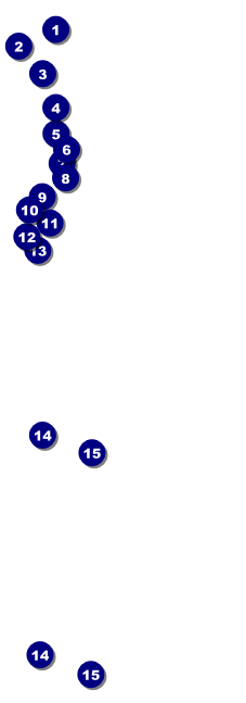 Blues Raffle Ticket Front Field Markers