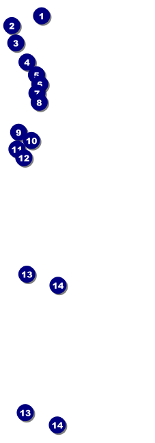 Blues Cruise Raffle Ticket Front Field Markers