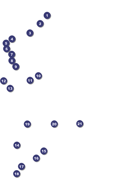 Winter Festival Postcard Front Field Markers