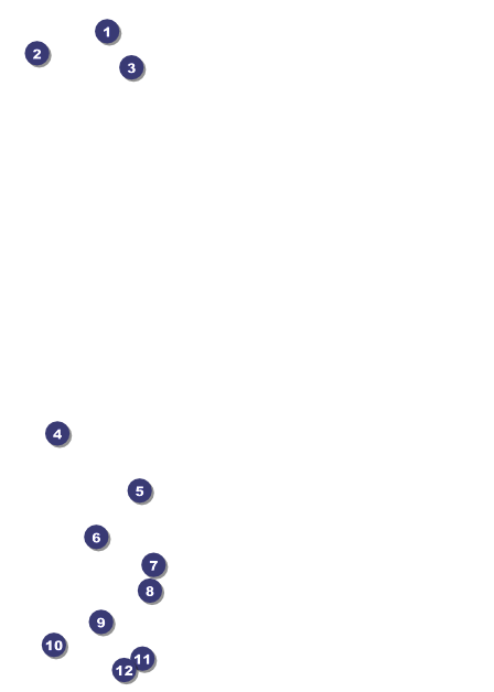 Demon Swirl Post Card Front Field Markers